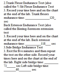 Lab 5 Section 3